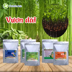 Bộ nguyên liệu COMBO VƯƠN DÀI gồm GA3 40%, IBA-K, Compound Sodium Nitrophenolate, Mg-EDTA và Zn-EDTA