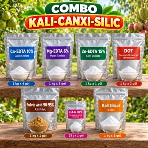 COMBO KALI-CANXI-SILIC – Bộ nguyên liệu tham khảo bổ sung canxi, bo, silic và trung vi lượng cho vỏ, mô trái giai đoạn nuôi trái
