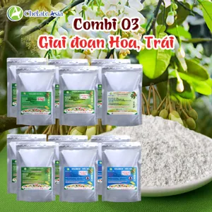 Bộ nguyên liệu Combo COMBI 03 gồm Ca-EDTA, Fe-EDDHA, Zn-EDTA, Solubor, Amoni Molipdat và Vitamin B1