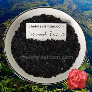 Bột rong biển (Seaweed Powder) - PHÂN BÓN HỮU CƠ NUTRI MAX ORGANIC dạng bột, vảy tan 100%