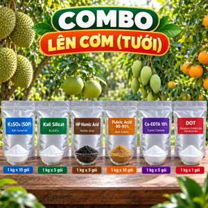 COMBO LÊN CƠM (TƯỚI) – Bộ nguyên liệu tham khảo tưới gốc sầu riêng giai đoạn nuôi trái, lên cơm
