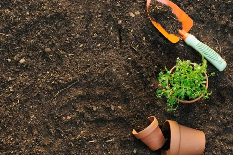 Chitosan kết hợp Humic để cải tạo đất