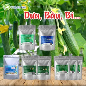 Bộ nguyên liệu Combo đậu trái dưa, bầu, bí gồm DA-6, 4-CPA-Na, canxi chelate, Solubor và kẽm chelate