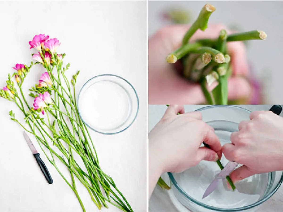 Cách bảo quản hoa tươi lâu của chủ shop hoa hàng đầu Hải Phòng