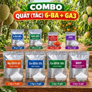 COMBO QUẤT (TẮC) 6-BA + GA3 – Bộ nguyên liệu tham khảo hỗ trợ bật đọt, nuôi tán và bổ sung trung – vi lượng cho quất cảnh