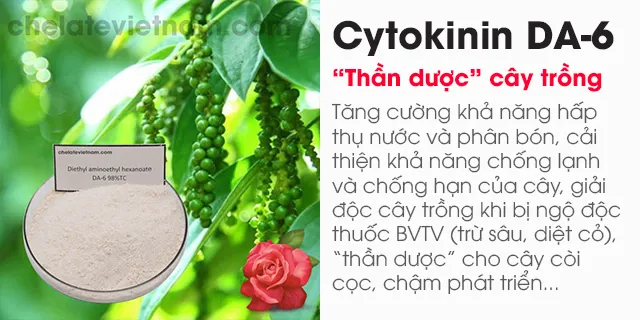 Bán Cytokinin DA-6 98% (Tăng cường sức khỏe cây trồng)