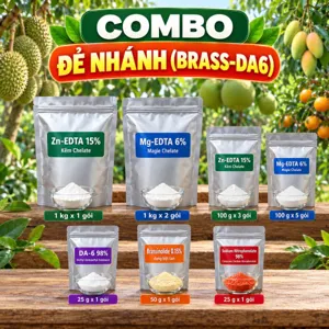 COMBO ĐẺ NHÁNH (BRASS-DA6) – Bộ nguyên liệu tham khảo hỗ trợ lúa sinh trưởng giai đoạn đẻ nhánh, bổ sung kẽm và magie
