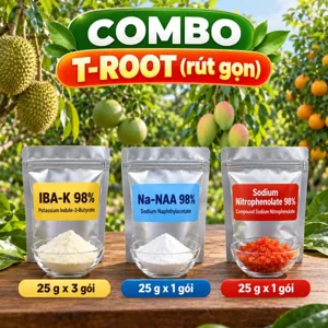 COMBO T-ROOT (rút gọn) – Bộ nguyên liệu tham khảo hỗ trợ hình thành và phục hồi bộ rễ