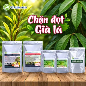 Bộ nguyên liệu Combo chặn đọt mở lá gồm Mepiquat chloride, kali silicat và kali humate