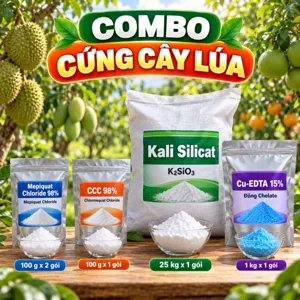 COMBO CỨNG CÂY LÚA – Bộ nguyên liệu tham khảo hạn chế vươn lóng, bổ sung silic, kali, đồng hỗ trợ cứng thân, giảm đổ ngã