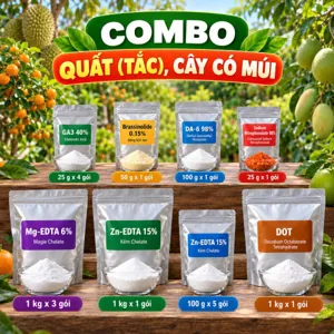 COMBO QUẤT (TẮC), CÂY CÓ MÚI – Bộ nguyên liệu tham khảo hỗ trợ đậu trái, nuôi trái và dưỡng lộc