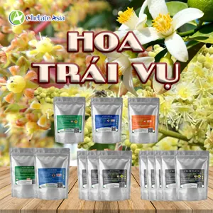 Bộ nguyên liệu Combo kích thích ra hoa trái vụ gồm Chlormequat chloride, Mepiquat chloride, DA-6 và Solubor