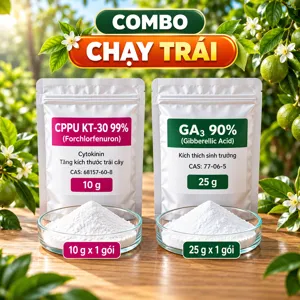 COMBO CHẠY TRÁI – Bộ nguyên liệu tham khảo hỗ trợ phân chia, giãn nở tế bào trái non sau đậu trái