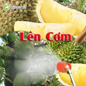 Bộ nguyên liệu Combo Lên cơm phun lá cho sầu riêng gồm Fulvic, Canxi, Magie EDTA, vi lượng, DA-6 và Triacontanol