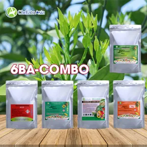 Bộ nguyên liệu Combo 6BA-C gồm 6-BA, GA3 40%, Compound Sodium Nitrophenolate, Zn-EDTA và KOH