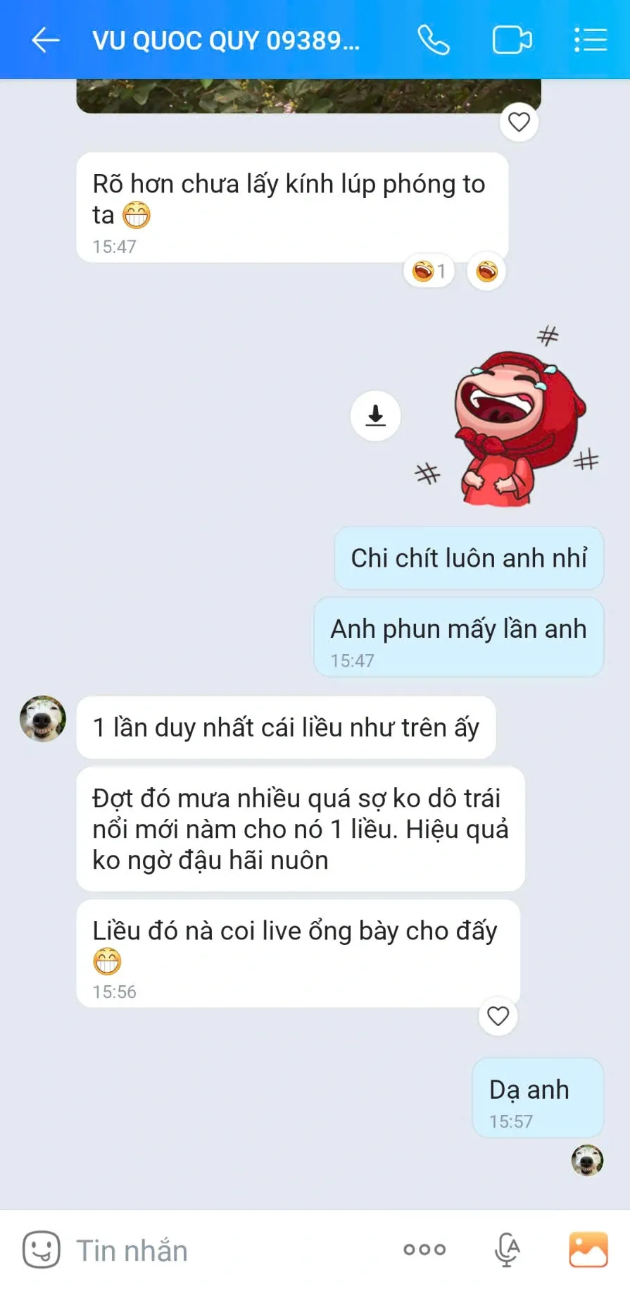 Chôm chôm Thái đậu chi chít 2