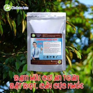 Amino Acid 45% (Axit Amin) dạng bột tan 100%