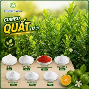 Bộ nguyên liệu Combo quất (tắc) gồm 6-BA, GA3, Nitrophenolate, KOH và chelate Mg, Zn, Ca, Bo
