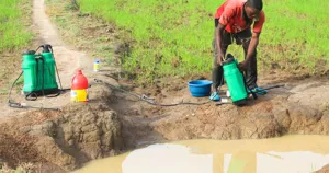 Nông dân lấy nước ao đục để pha thuốc, phân bón lá vào bình phun
