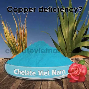 Vi lượng Đồng Chelate (Cu-EDTA-15) tan hoàn toàn trong nước