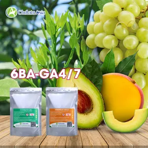Bộ nguyên liệu Combo 6BA-GA4/7 gồm Cytokinin 6BA 98%, Gibberellin GA4+7 90% và KOH