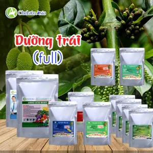 Bộ nguyên liệu Combo Dưỡng Trái Full gồm DA-6, Nitrophenolate, Axit Fulvic và Amino Acid